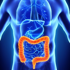 Significant Drop in Colorectal Cancer Diagnosis Credited to Early Detection, Screenings