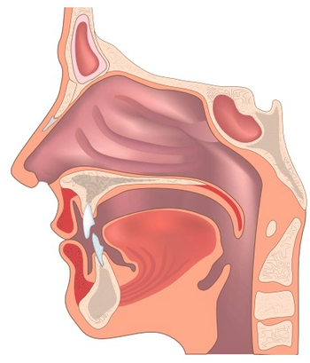 Innovations in Head and Neck Oncologic Surgery